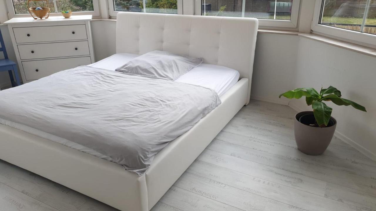 Grosse & Voll Ausgestattete Apartments, Studios, Doppelzimmer, Workspace, Parkplatz, Netflix, Prime & Schnelles Wifi In Ruhiger Lage Mit Garten Rudolstadt Exterior photo