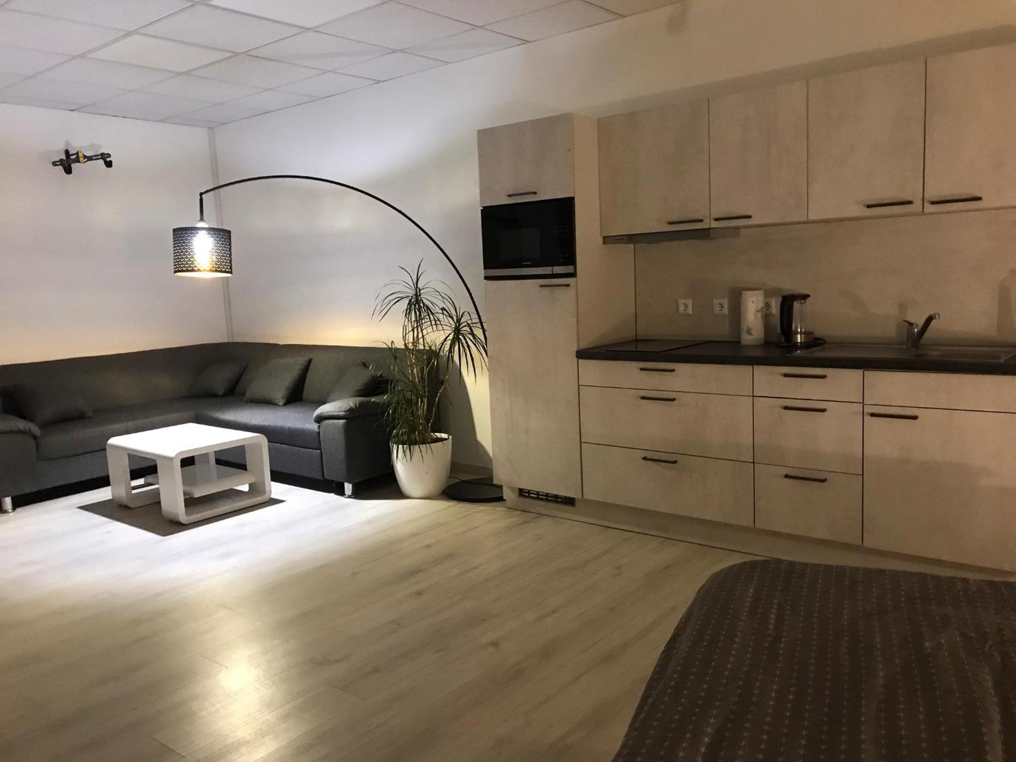 Grosse & Voll Ausgestattete Apartments, Studios, Doppelzimmer, Workspace, Parkplatz, Netflix, Prime & Schnelles Wifi In Ruhiger Lage Mit Garten Rudolstadt Exterior photo