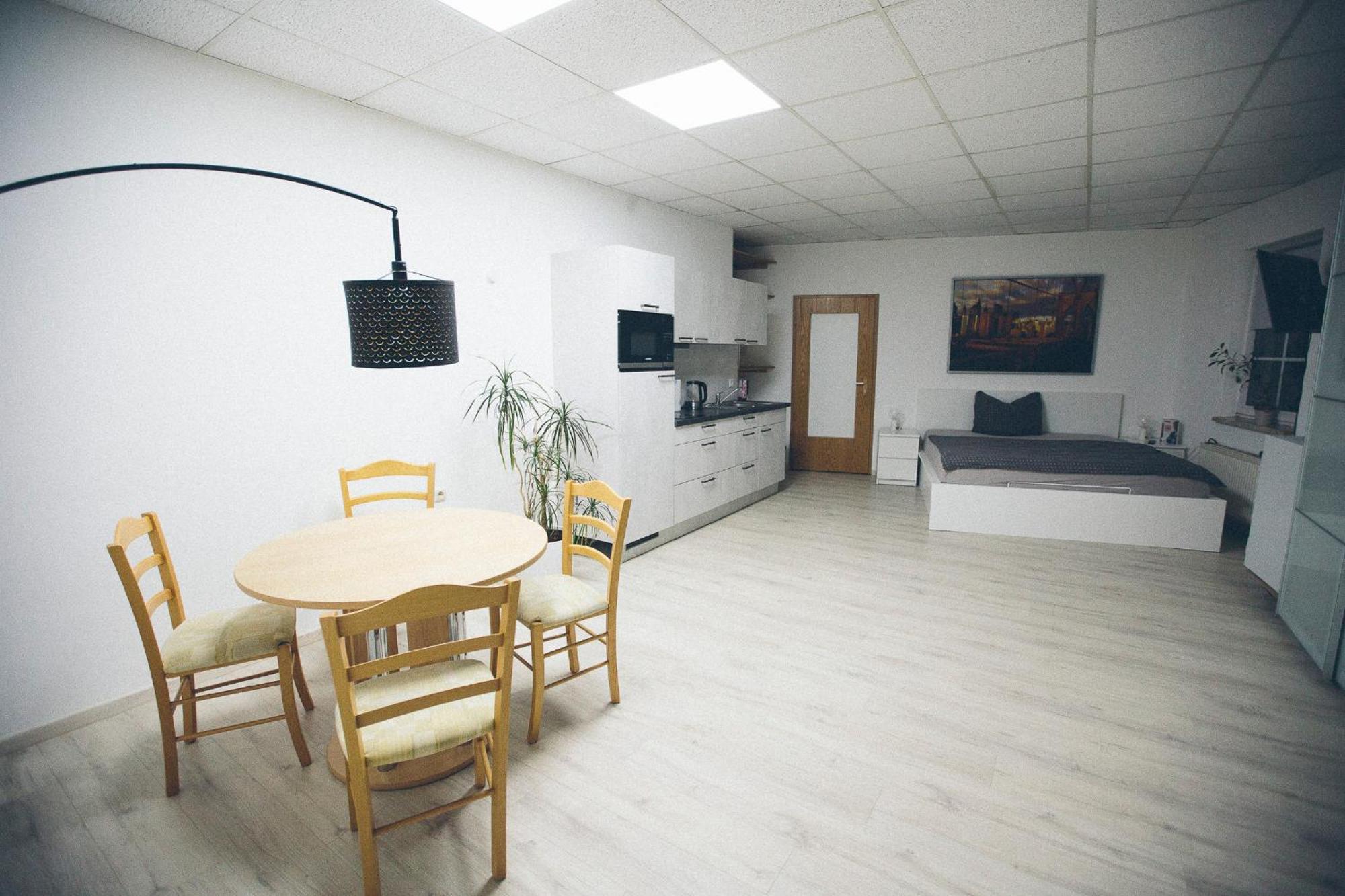 Grosse & Voll Ausgestattete Apartments, Studios, Doppelzimmer, Workspace, Parkplatz, Netflix, Prime & Schnelles Wifi In Ruhiger Lage Mit Garten Rudolstadt Exterior photo